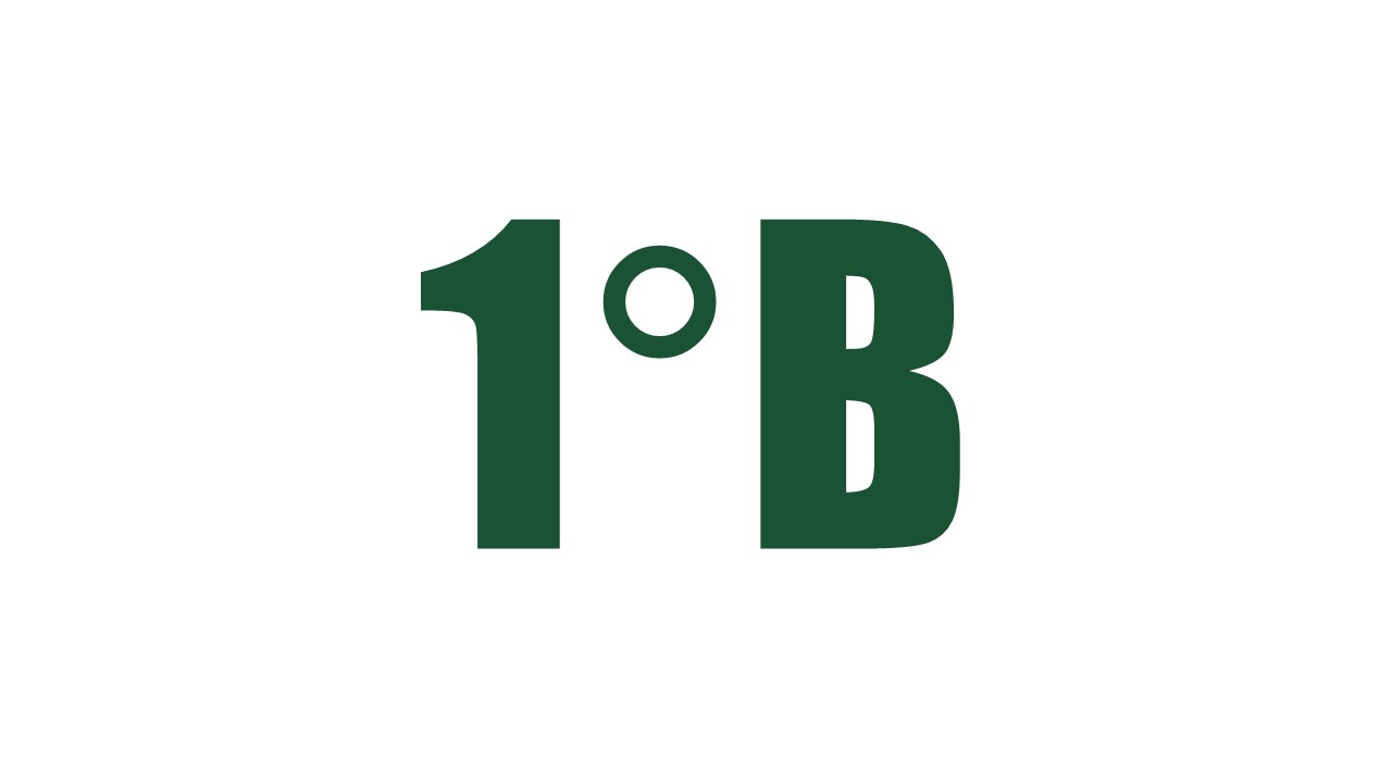 Evaluaciones Primero B